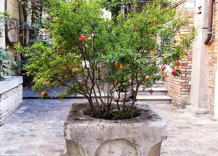 Corte Bragadin דירה